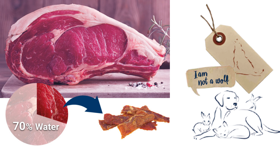 最適な栄養バランスで作られています