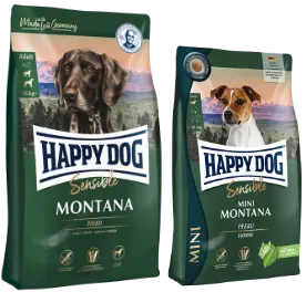 モンタナ  /  ミニ　モンタナ