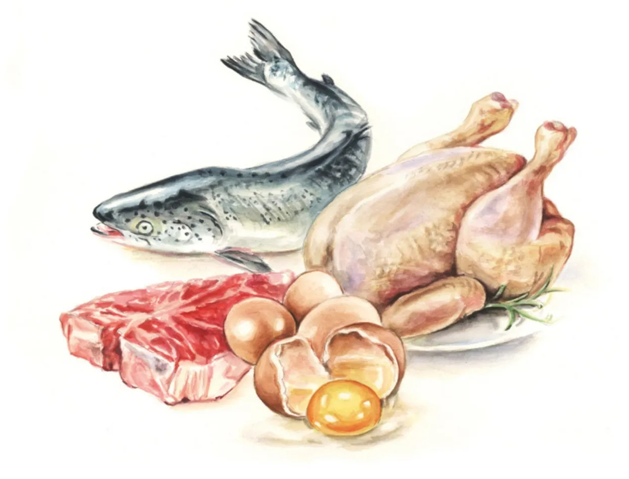 ペット先進国の中でもトップクラスの水準