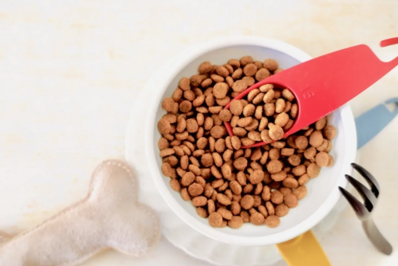ドッグフード