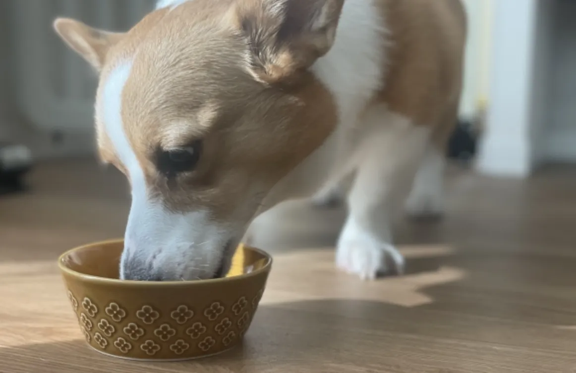 健康で長生きしてほしいから