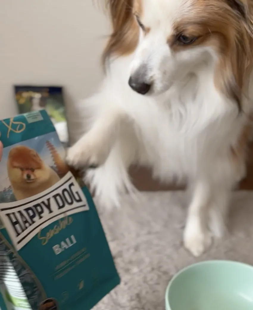 早くちょうだい