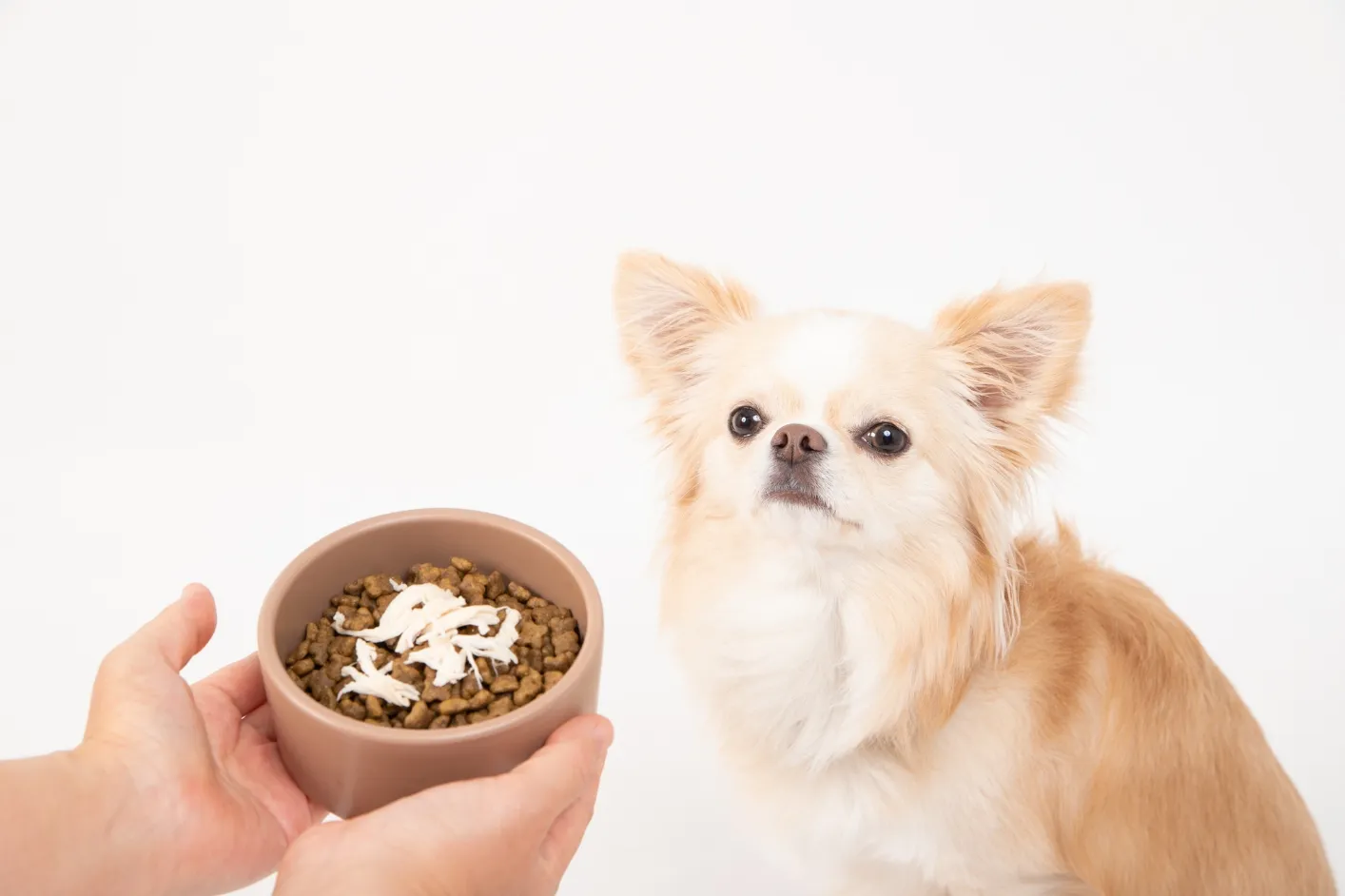 フード選びに難航してる方は大多数…！