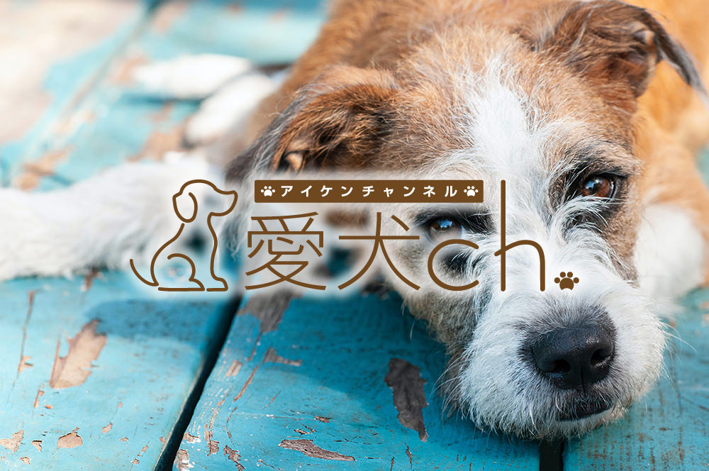 サマンサ Samantha レディシャンス バッグ ショルダーバッグ クロコ調 ショルダーバッグ Samantha ショルダーバッグ Thavasa サマンサタバサ のファッション