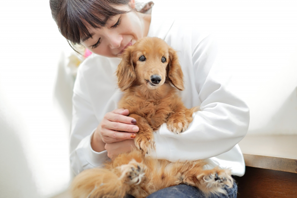 愛犬との絆を深めるのにてっとり早い方法は、愛犬を撫でるなど身体にふれてコミュニケーションをとる事です。