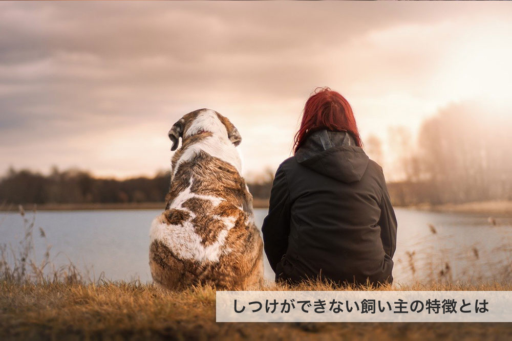 しつけができない飼い主の特徴とは？しつけのNG行動と解決策について