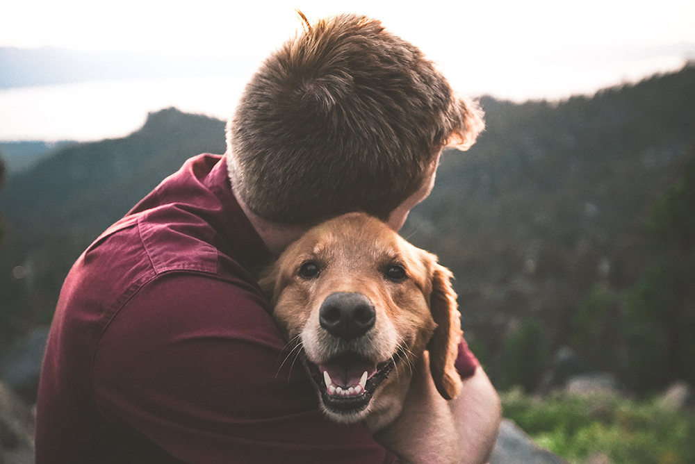 犬と絆を深めるための方法とは？コミュニケーションの取り方 を解説