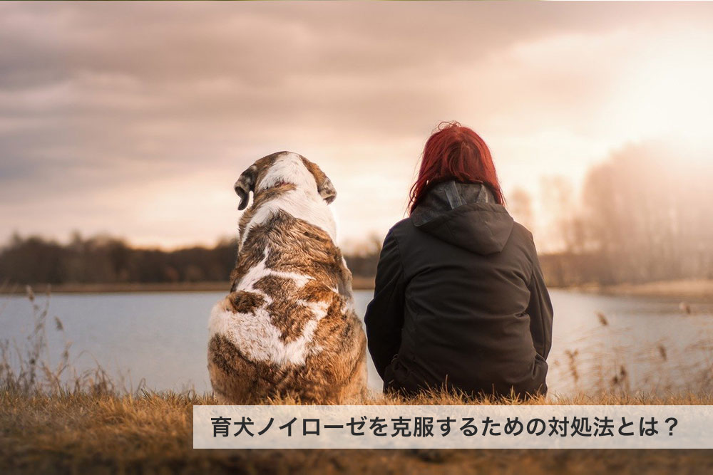 育犬ノイローゼを克服するための対処法とは？悩みの原因と特徴について解説