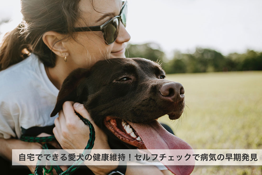 自宅でできる愛犬の健康維持！セルフチェックで病気の早期発見に